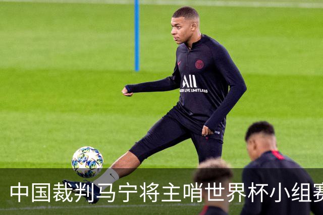 中国裁判马宁将主哨世界杯小组赛第二轮比赛